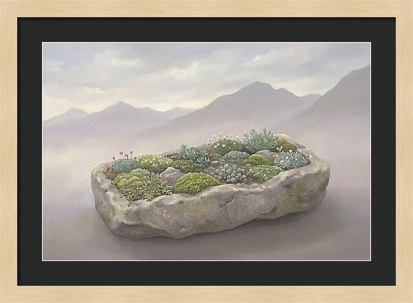 Alpine Trough Garden Serenity