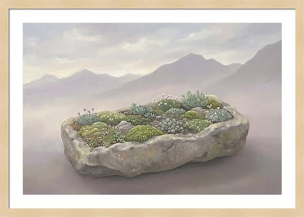 Alpine Trough Garden Serenity