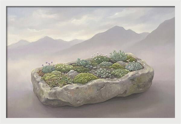 Alpine Trough Garden Serenity