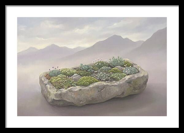 Alpine Trough Garden Serenity
