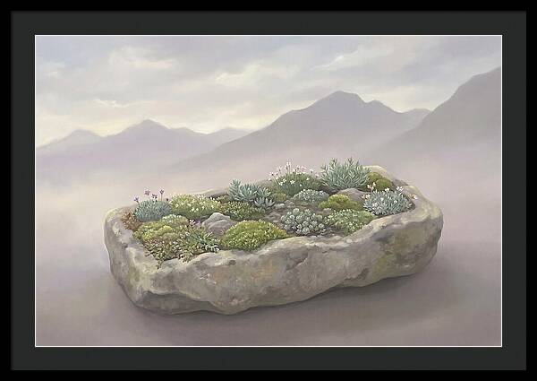 Alpine Trough Garden Serenity