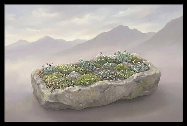 Alpine Trough Garden Serenity