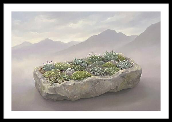 Alpine Trough Garden Serenity
