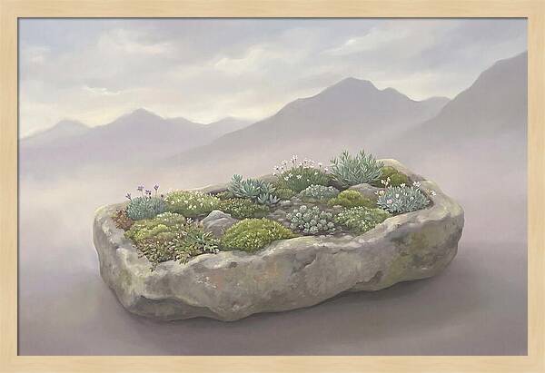Alpine Trough Garden Serenity