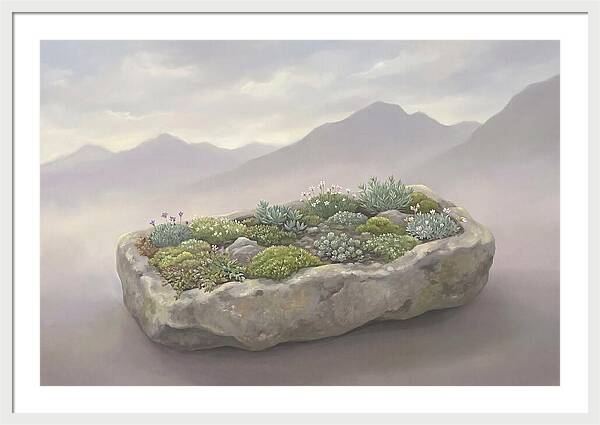 Alpine Trough Garden Serenity