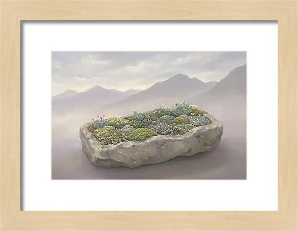 Alpine Trough Garden Serenity