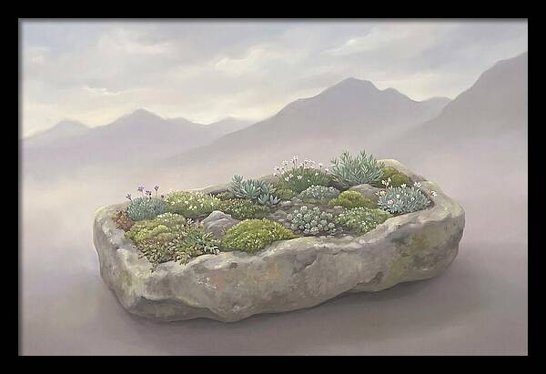 Alpine Trough Garden Serenity