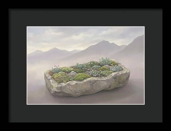 Alpine Trough Garden Serenity