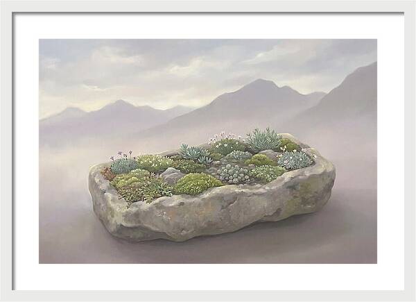 Alpine Trough Garden Serenity