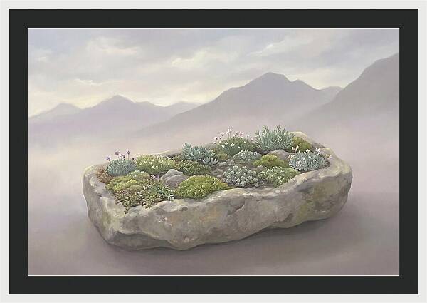 Alpine Trough Garden Serenity