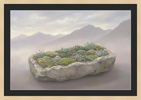 Alpine Trough Garden Serenity