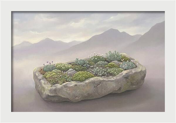 Alpine Trough Garden Serenity