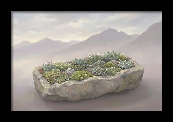 Alpine Trough Garden Serenity