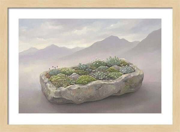 Alpine Trough Garden Serenity