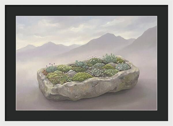 Alpine Trough Garden Serenity
