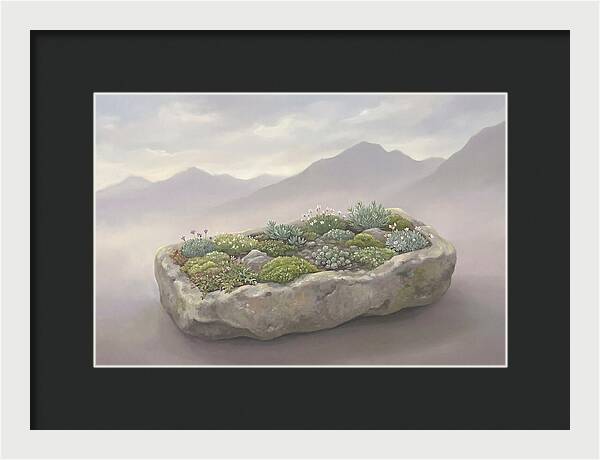 Alpine Trough Garden Serenity