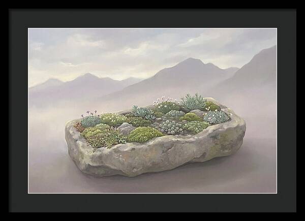 Alpine Trough Garden Serenity