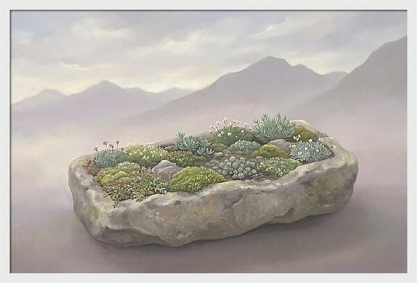 Alpine Trough Garden Serenity