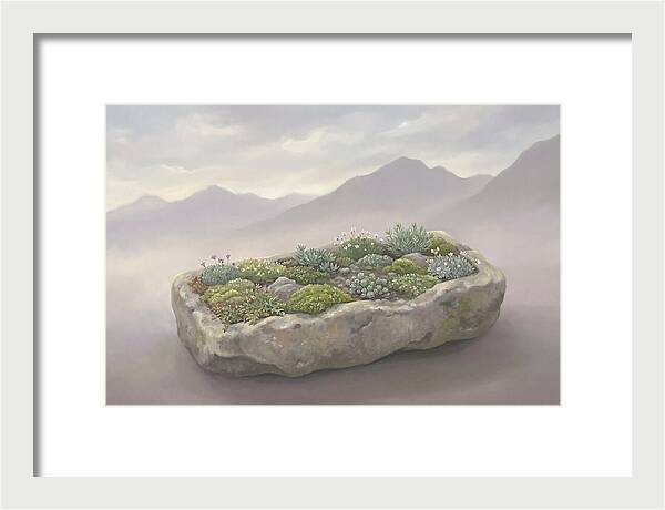 Alpine Trough Garden Serenity