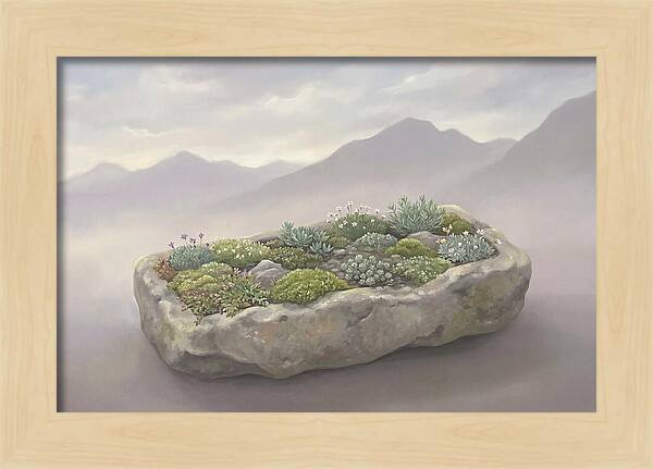 Alpine Trough Garden Serenity