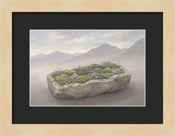 Alpine Trough Garden Serenity