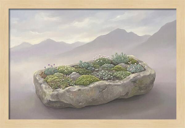 Alpine Trough Garden Serenity