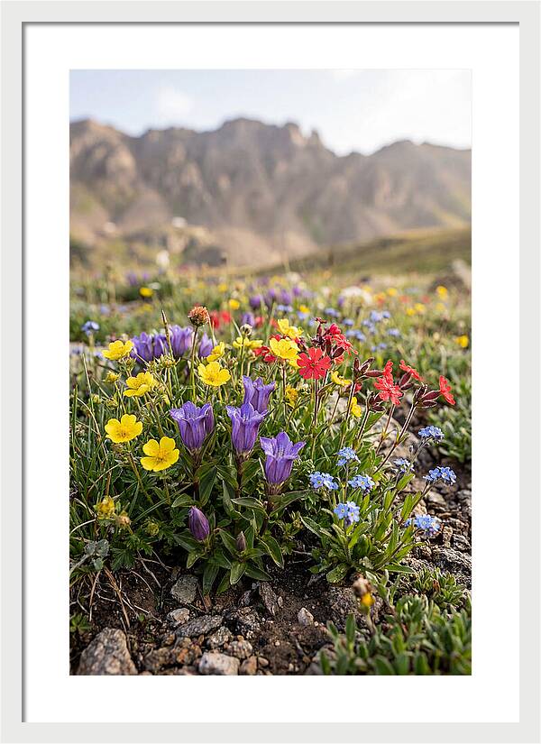 Alpine Wildflower Serenity