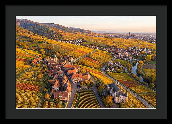 Alsace Wine Route In Autumn