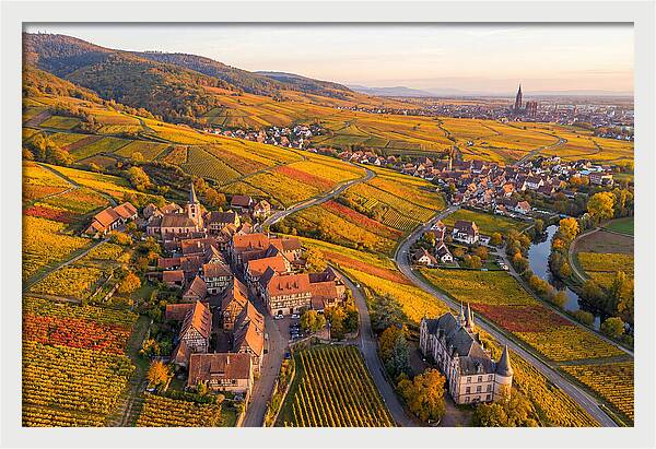 Alsace Wine Route In Autumn