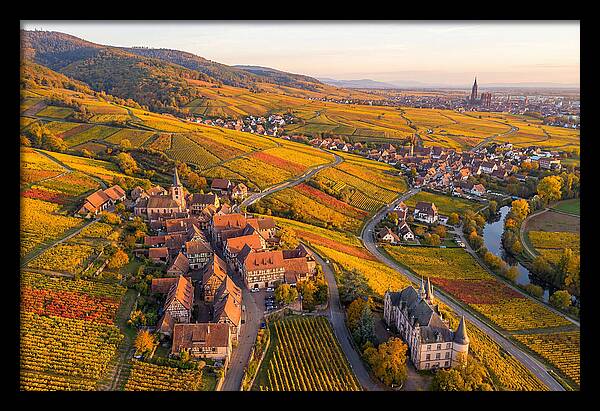 Alsace Wine Route In Autumn