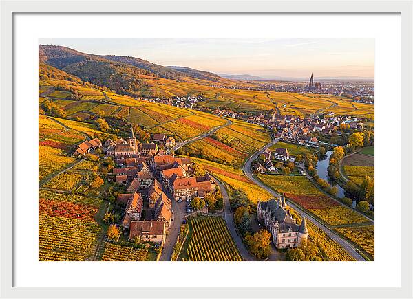 Alsace Wine Route In Autumn