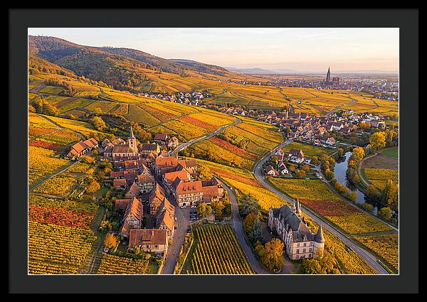 Alsace Wine Route In Autumn