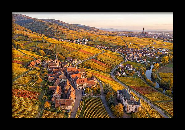 Alsace Wine Route In Autumn