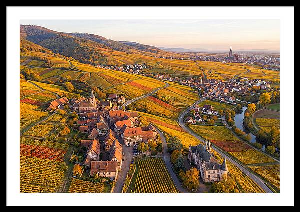 Alsace Wine Route In Autumn