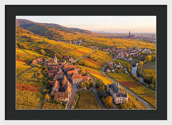 Alsace Wine Route In Autumn