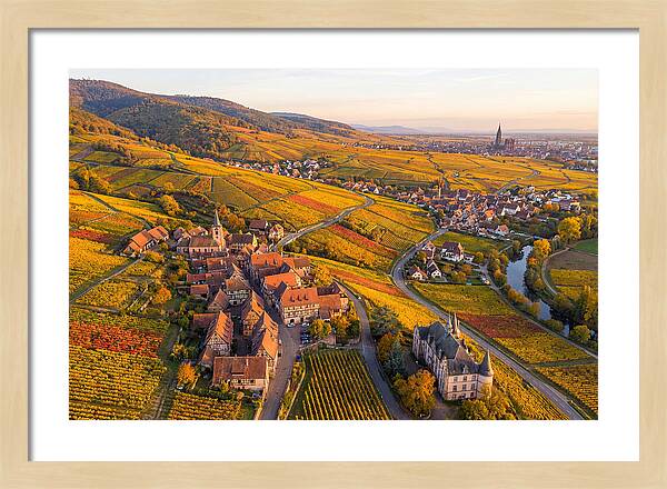 Alsace Wine Route In Autumn