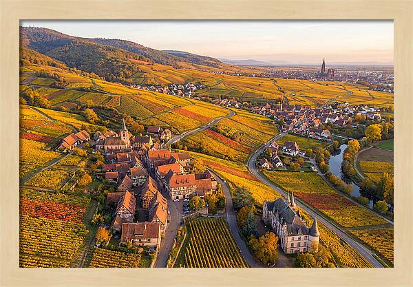 Alsace Wine Route In Autumn