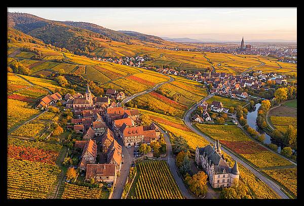 Alsace Wine Route In Autumn