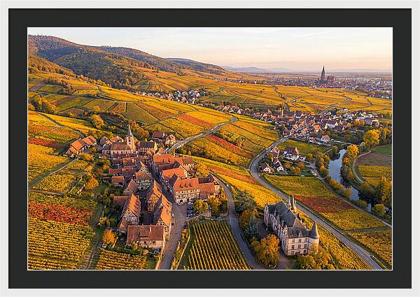 Alsace Wine Route In Autumn