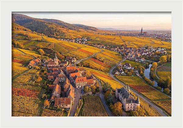 Alsace Wine Route In Autumn