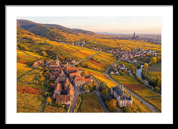 Alsace Wine Route In Autumn
