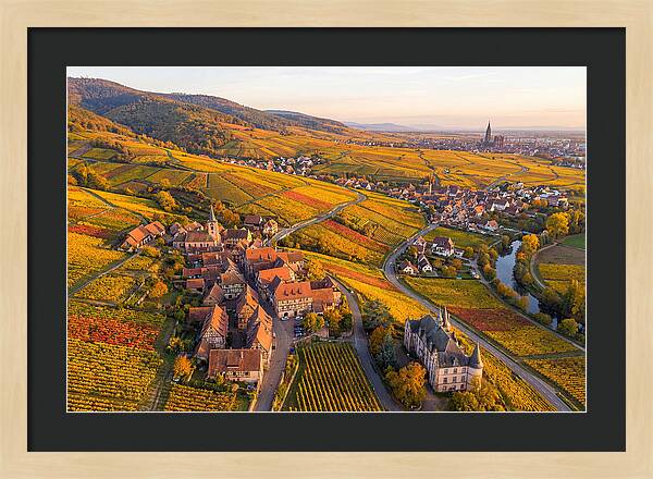 Alsace Wine Route In Autumn