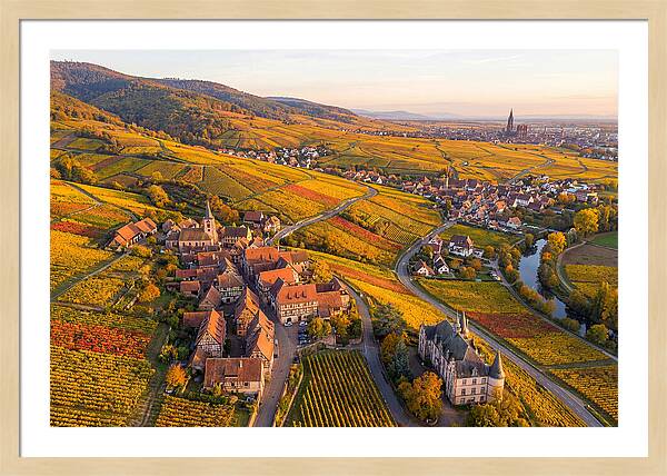Alsace Wine Route In Autumn