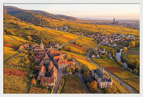 Alsace Wine Route In Autumn