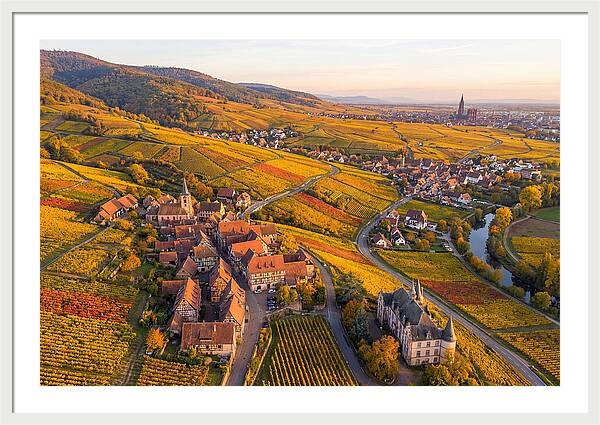 Alsace Wine Route In Autumn