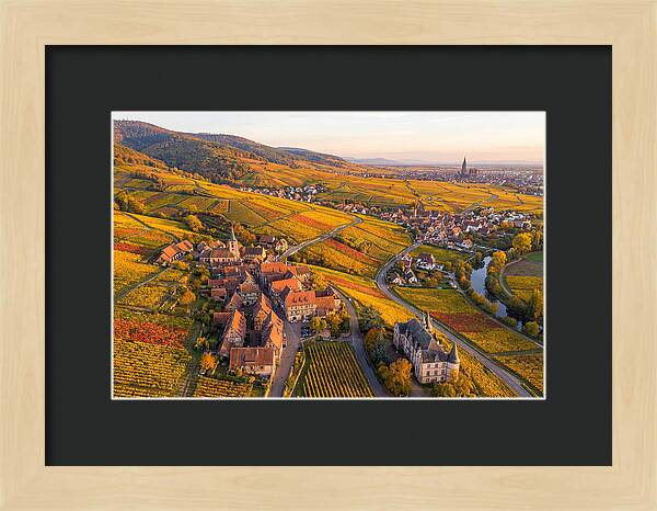Alsace Wine Route In Autumn