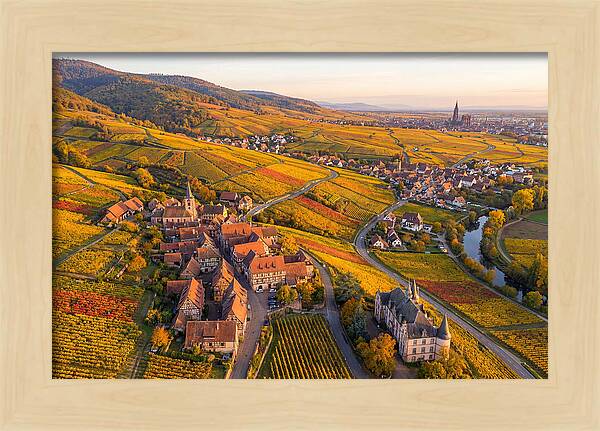 Alsace Wine Route In Autumn