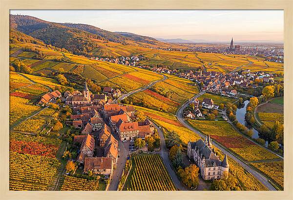Alsace Wine Route In Autumn