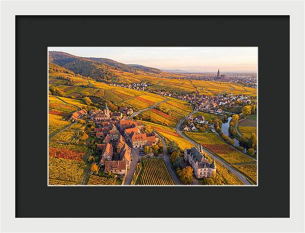 Alsace Wine Route In Autumn