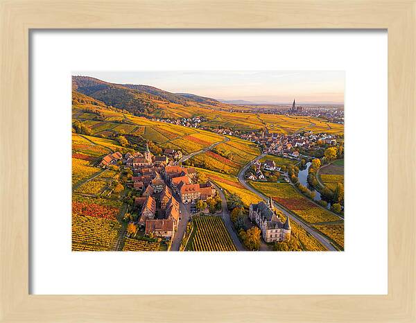 Alsace Wine Route In Autumn